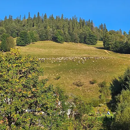 Alloggio in famiglia Ceper Goscinne